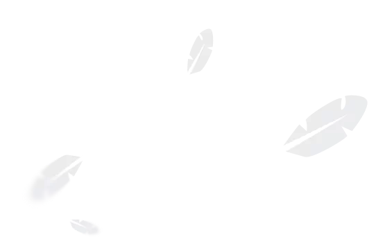 feathers